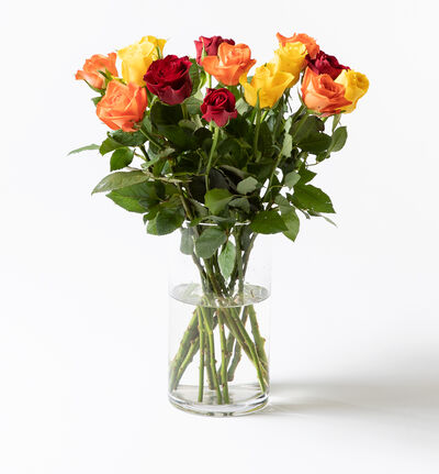 15 Fairtrade Rosa sløyfe roser varme farger
